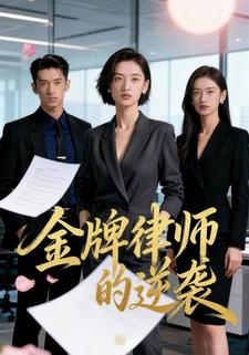 金牌律师的逆袭