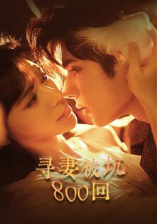 寻妻被坑800回