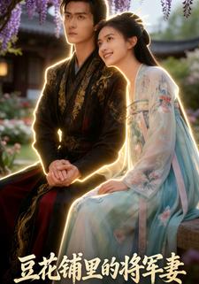 豆花铺里的将军妻