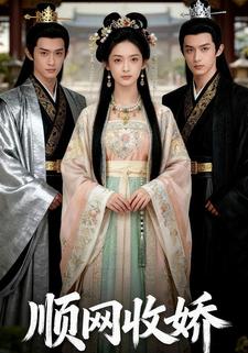顺网收娇
