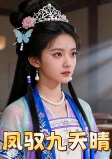凤驭九天晴