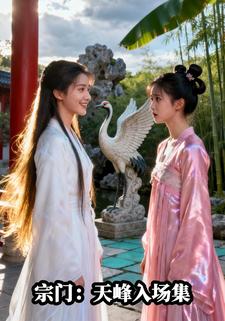 宗门：天峰入场集