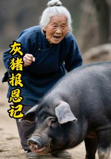 灰猪报恩记