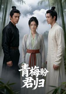 青梅盼君归