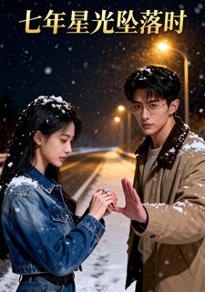 七年星光坠落时