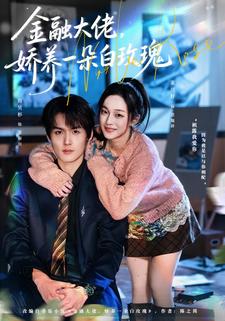 金融大佬，娇养一朵白玫瑰