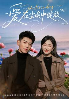 爱在尘埃中绽放