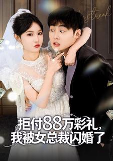 拒付 88 万彩礼，我被女总裁闪婚了
