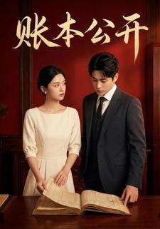 账本公开