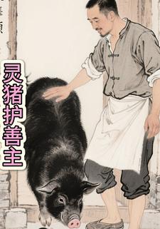 灵猪护善主