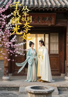 予我微光：从军奴到太子妃