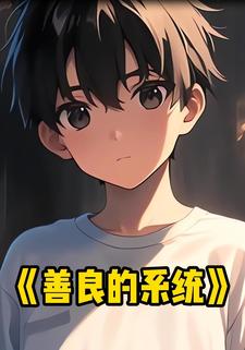 善良的系统