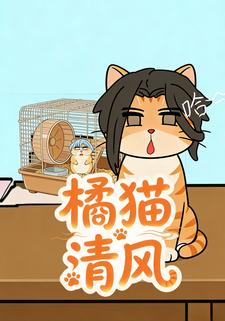橘猫清风