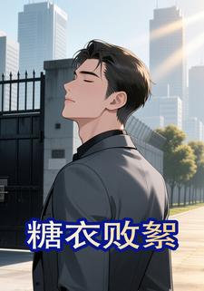 糖衣败絮