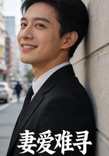 妻爱难寻