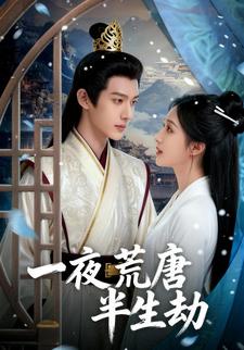 一夜荒唐半生劫