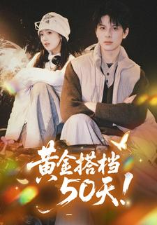 黄金搭档50天