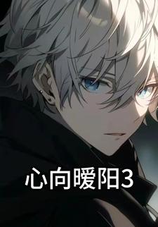心向暧阳3