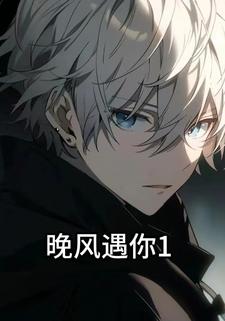 晚风遇你1