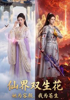 仙界双生花：她为容颜，我为苍生