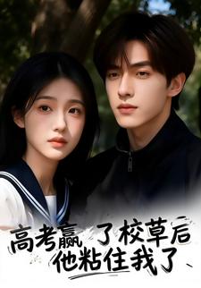 高考赢了校草后，他粘住我了