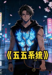 五五系统