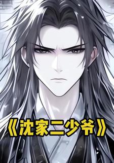 沈家二少爷
