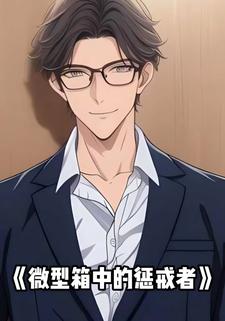 微型箱中的惩戒者