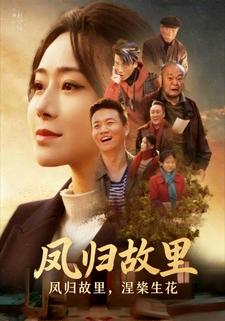 凤归故里，涅槃生花