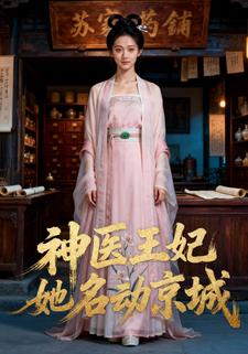 神医王妃她名动京城