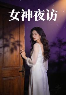 女神夜访
