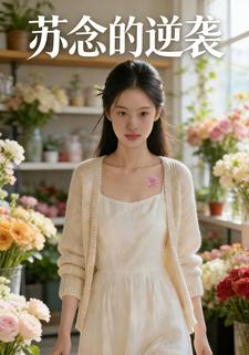 苏念的逆袭