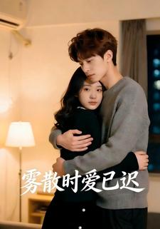 雾散时爱已迟