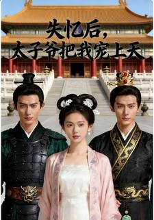 失忆后，太子爷把我宠上天