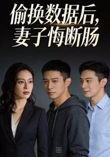 偷换数据后，妻子悔断肠