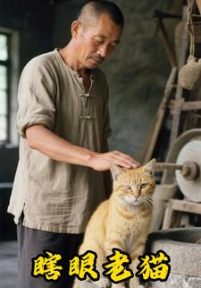 瞎眼老猫