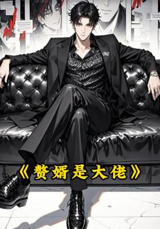 赘婿是大佬