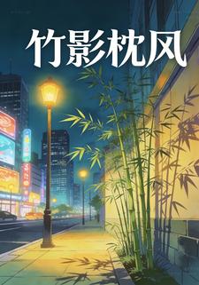 竹影枕风