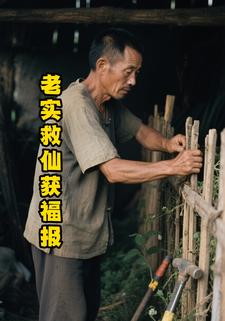 老实救仙获福报
