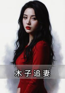 木子追妻