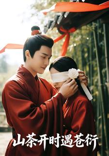 山茶开时遇苍衍