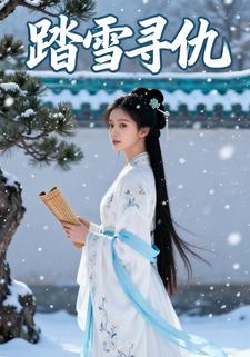 踏雪寻仇