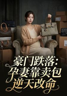 豪门跌落：孕妻靠卖包逆天改命