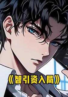 智引资入局