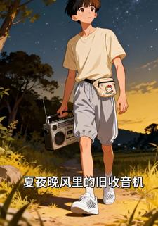 夏夜晚风里的旧收音机