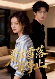 爱在雪落前停止