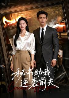 秘书助我逆袭前夫