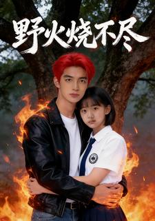 野火烧不尽