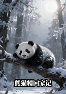 熊猫精回家记