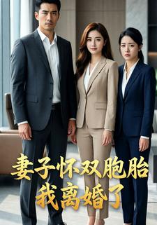 妻子怀双胞胎我离婚了